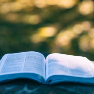 Biblioteca de Newletter